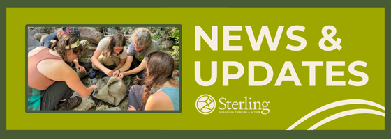Newsletter Banner (2)