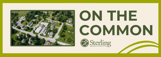 Aerial view of Sterling collage campus on the left with text that reads on the  common to the right. 